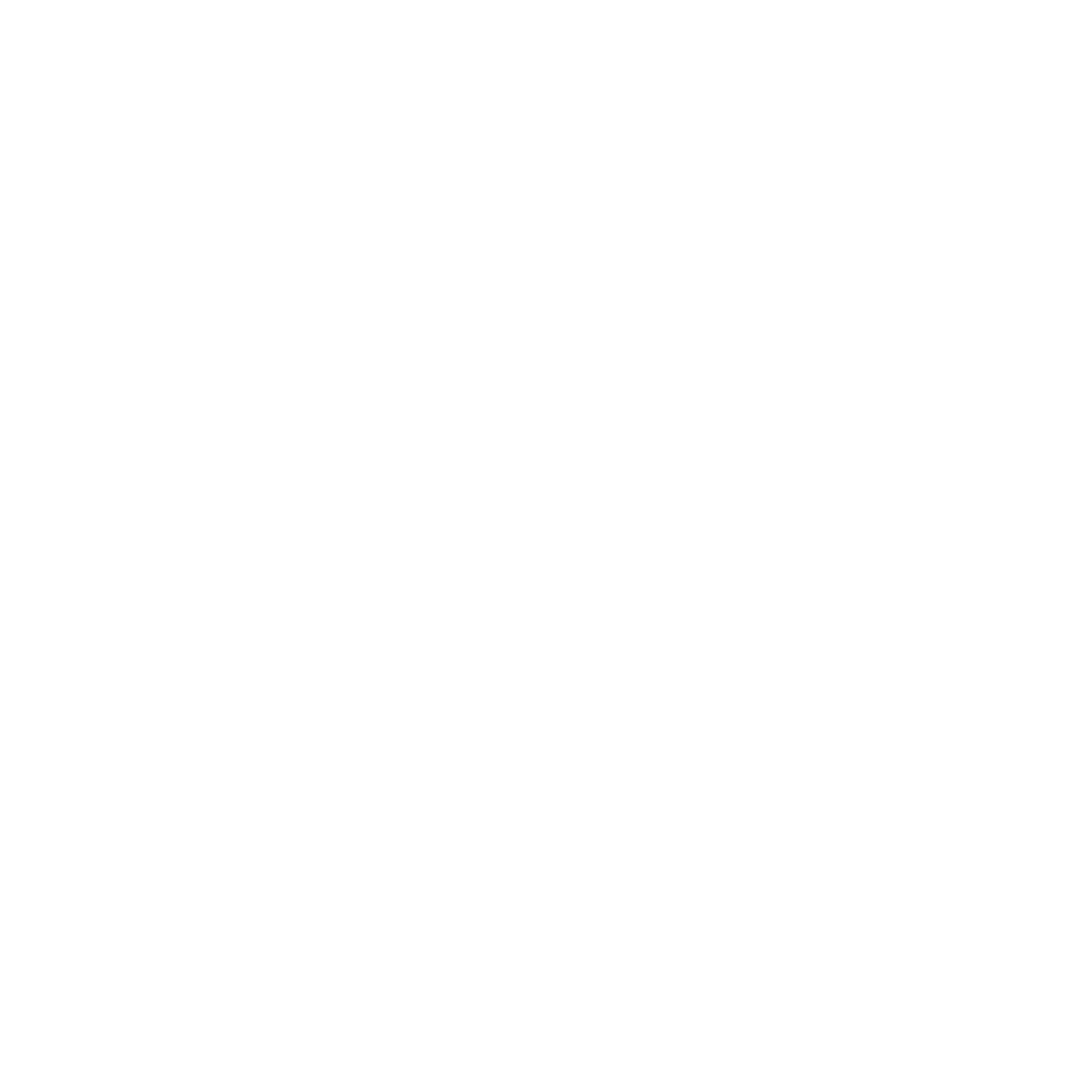 VOYDRA Logo